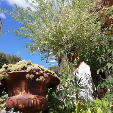 Seeblick By Interhome דירה Wasen