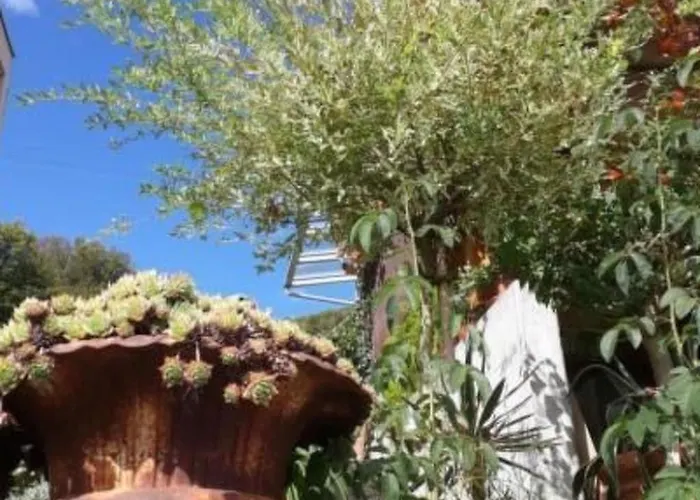 Seeblick By Interhome Apartment Wasen